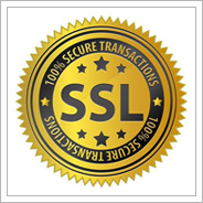 SSL Verschlüsselte Datenübertragung